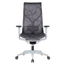 כסא ארגונומי אורטופדי SitPlus Grey