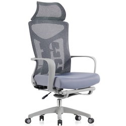 כסא מנהלים ארגונומי Ergonix Apex Pro - אפור