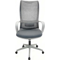 כסא משרדי ארגונומי Ergonix Core Pro - אפור