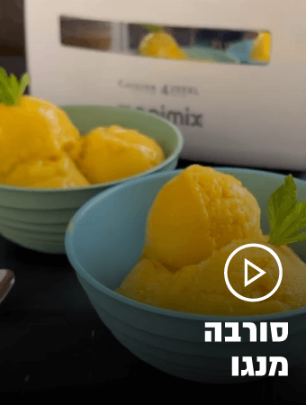 סורבה מנגו קל להכנה
