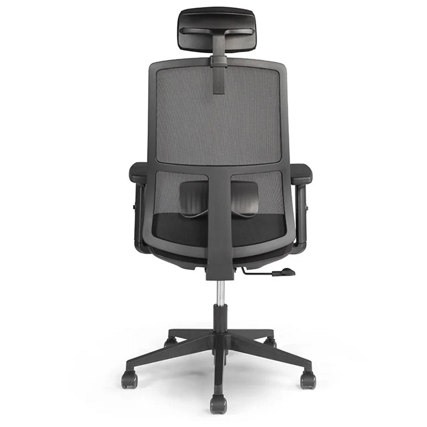 טלה מנהלים 2sit