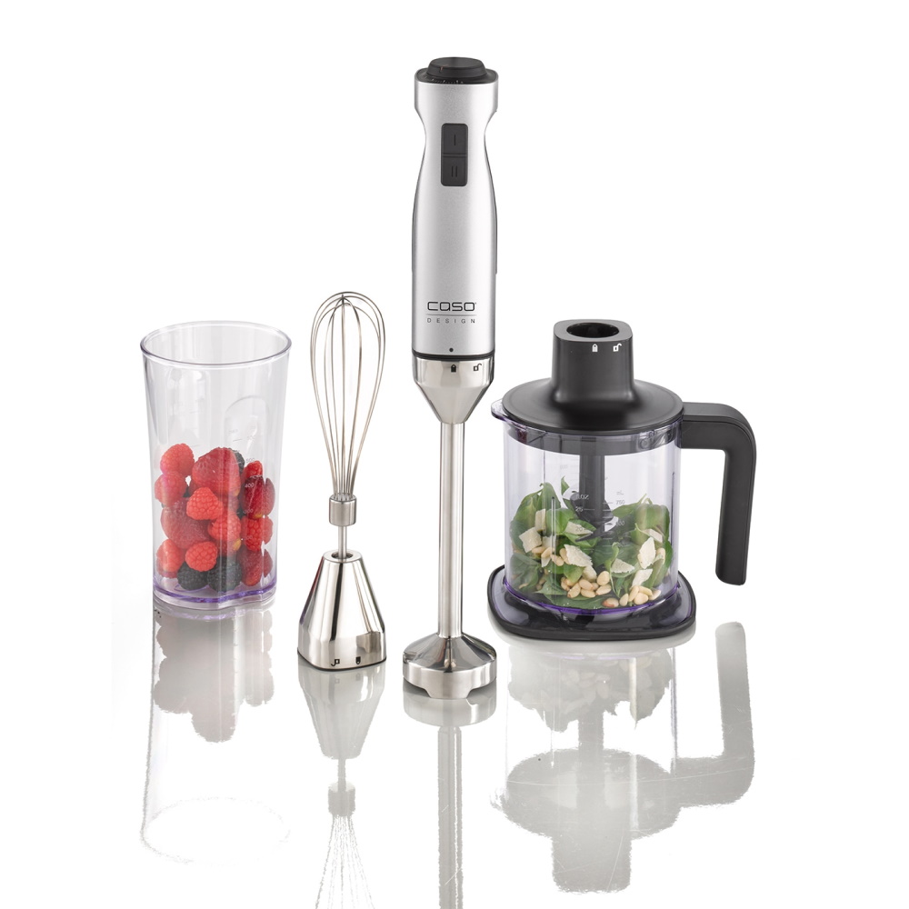 hb 1000 stabmixer caso