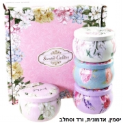 יסמין אדמונית ורד וסחלב