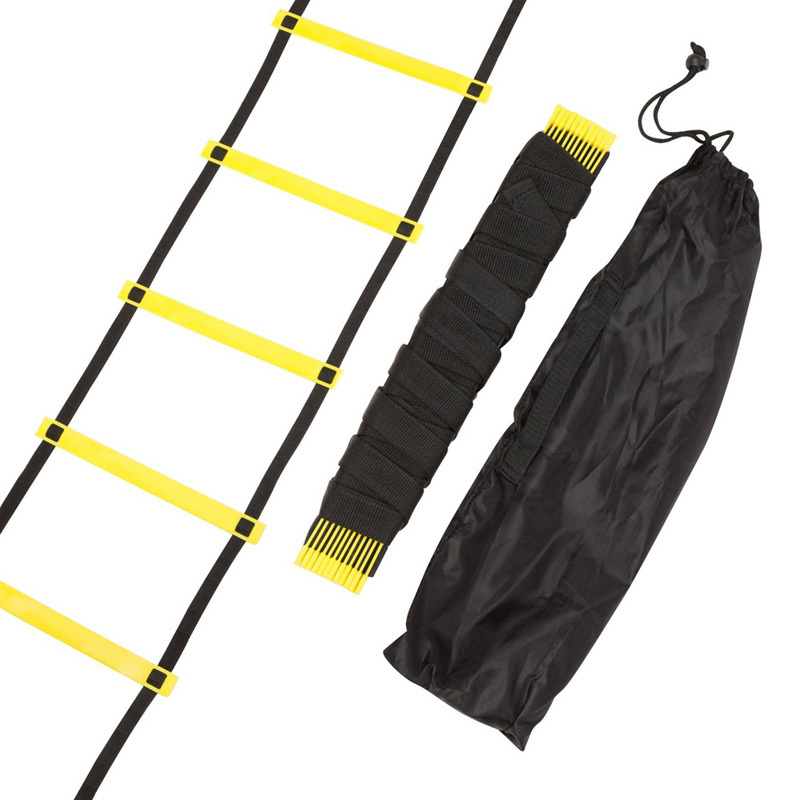 ability ladder