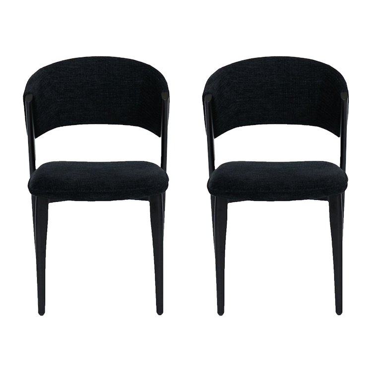 תמונה של זוג כיסאות מעוצבים לפינת אוכל home decor