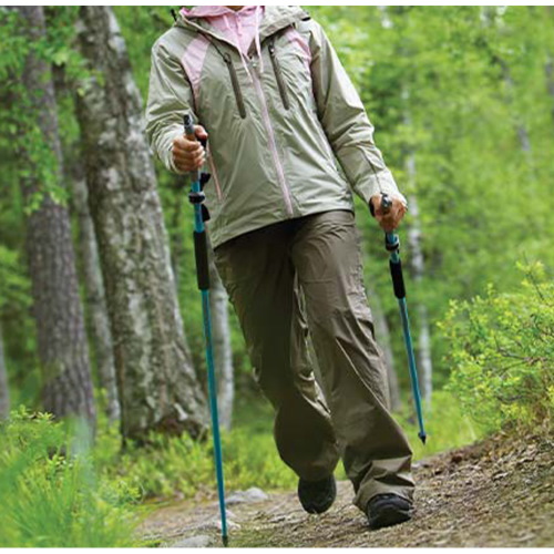 fit walker gymstick