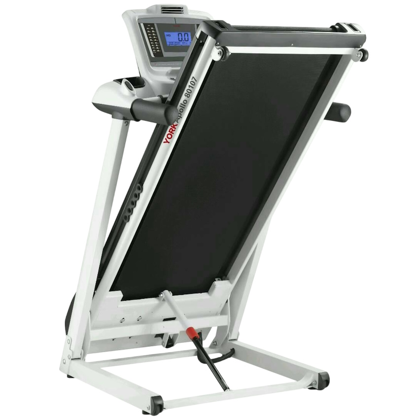 apollo york fitness