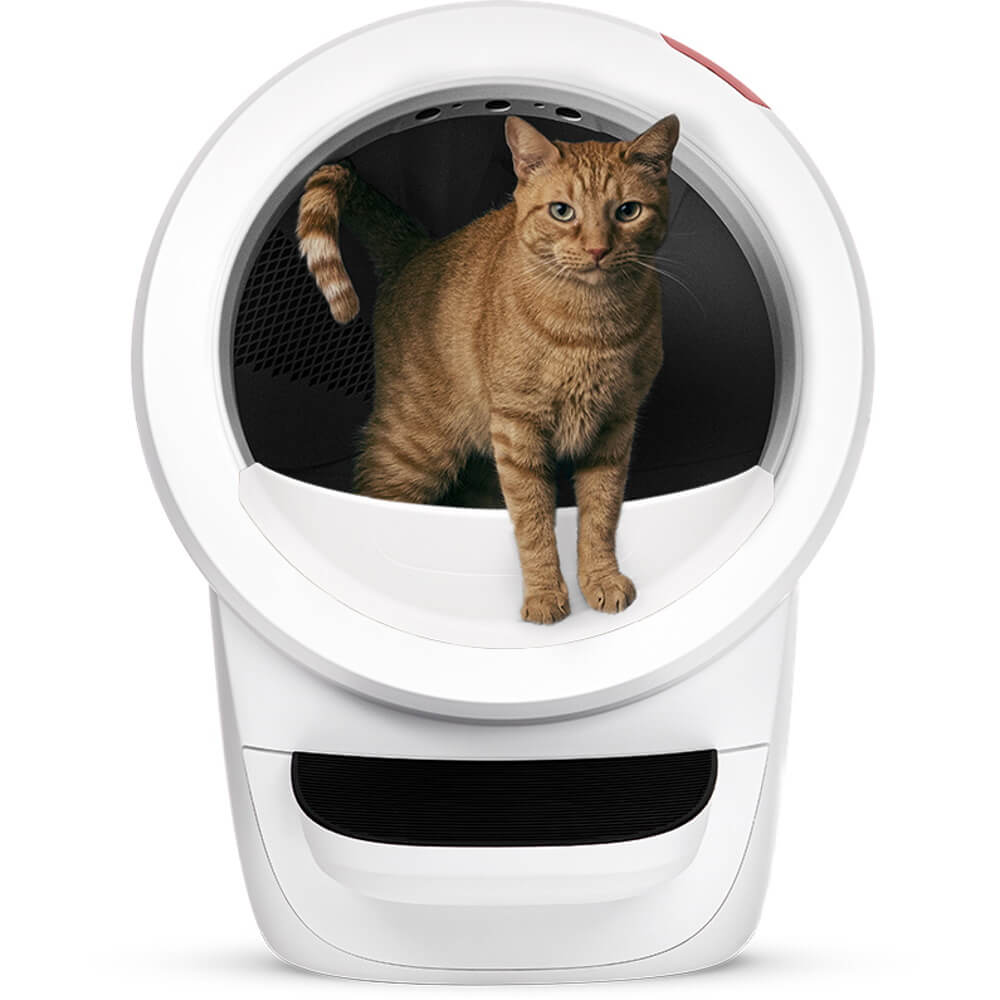 litter robot 4 לבן litter robot