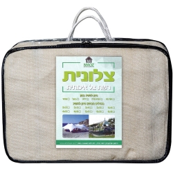 ציליות ושמשיות
