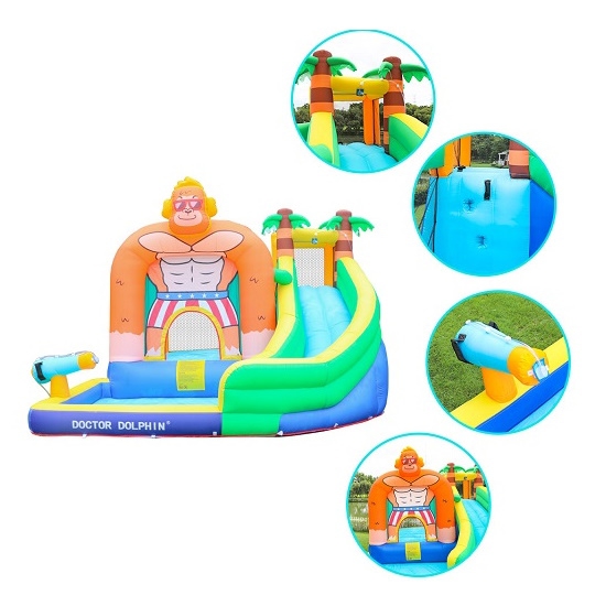 73008-dd doctor dolphin