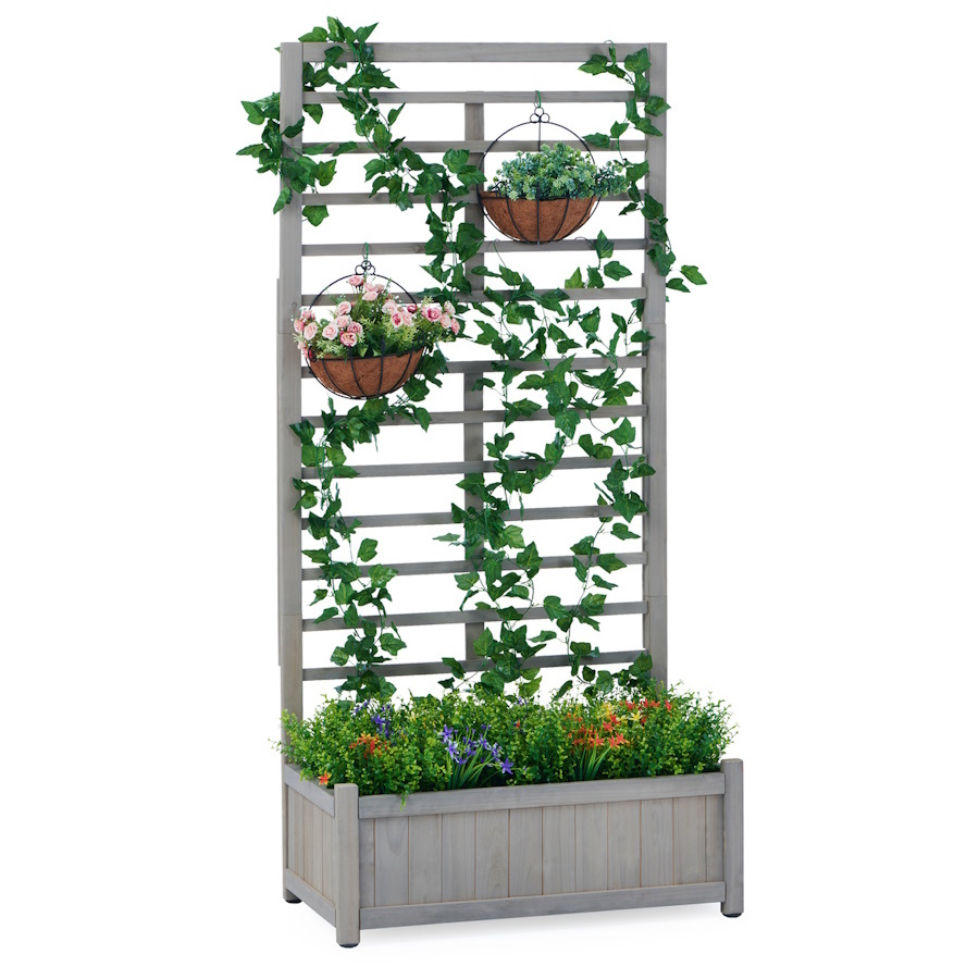 תמונה של אדנית לצמח מטפס garden top