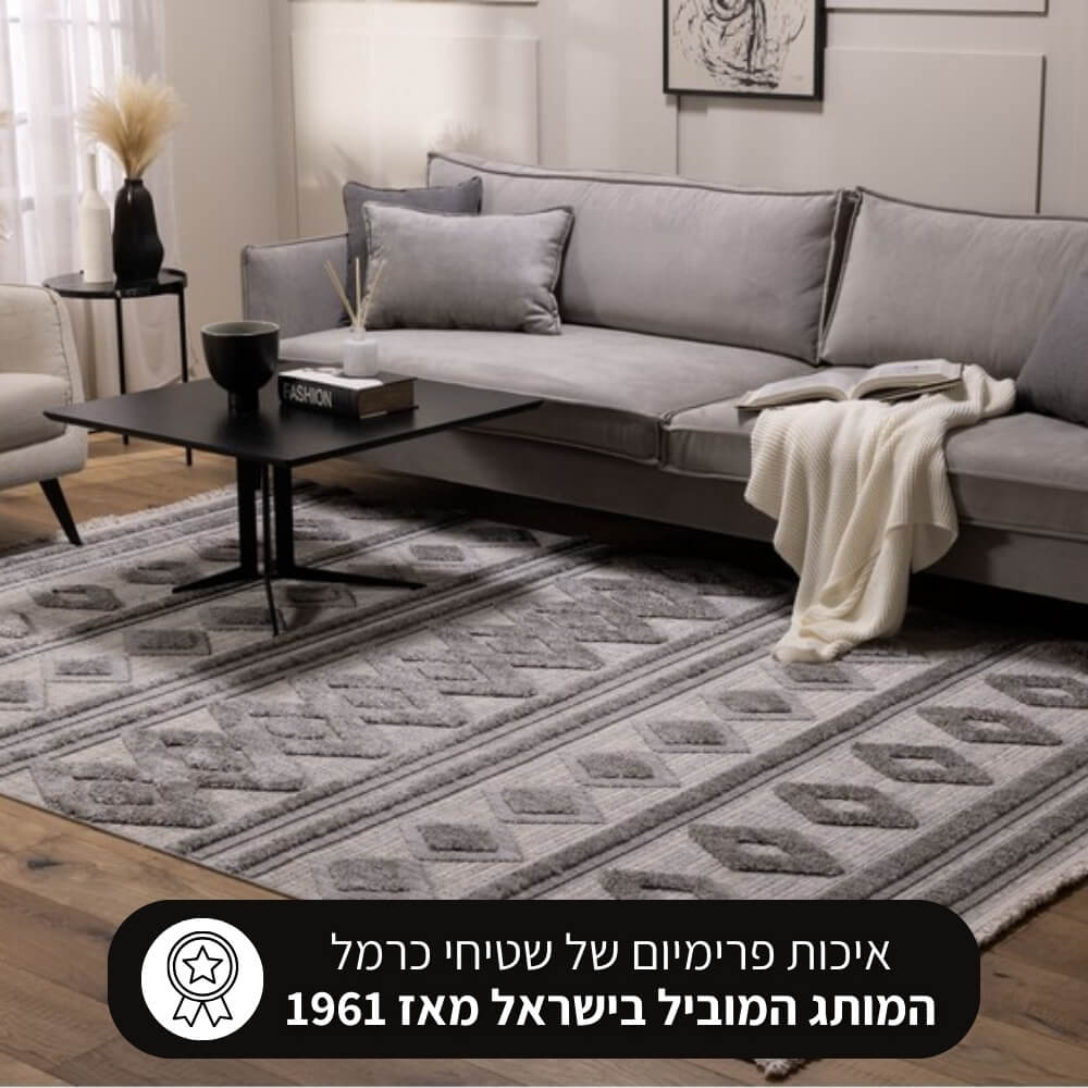 שטיח מודרני כולל טקסטורת לולאות וגימור פרנזים carmel floor