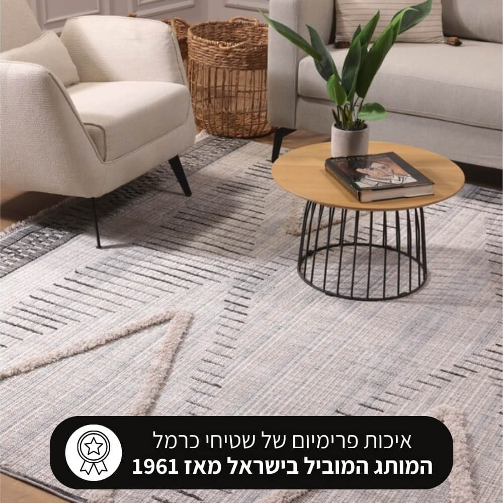 שטיח מודרני כולל טקסטורת לולאות וגימור פרנזים carmel floor