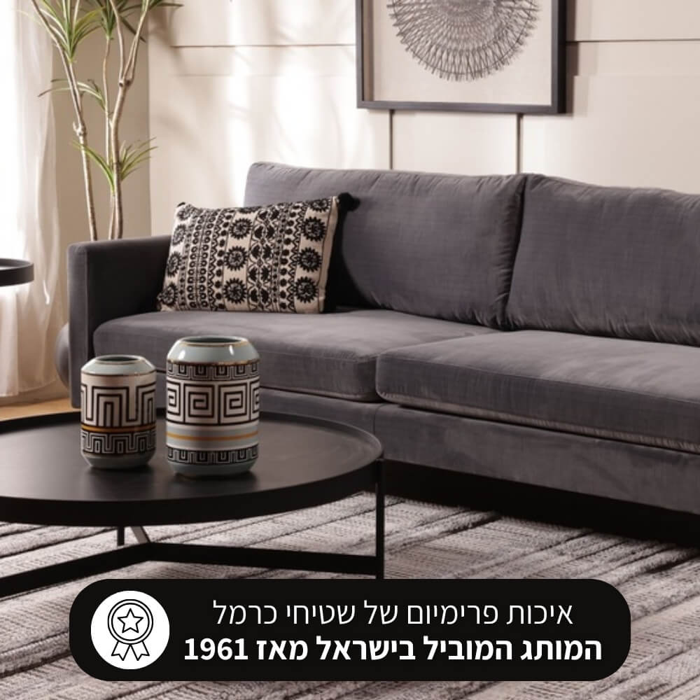 שטיח מודרני כולל טקסטורת לולאות וגימור פרנזים carmel floor