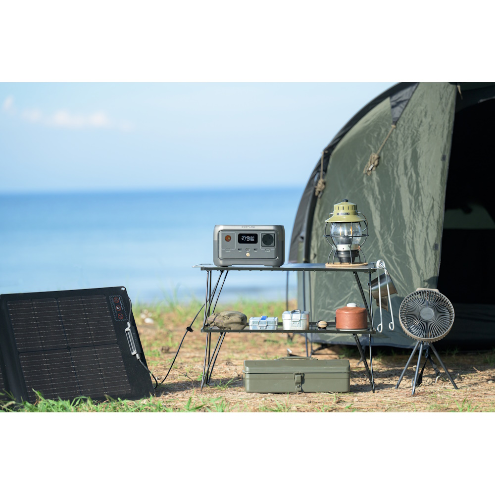 תחנת כוח ניידת ecoflow 300w-600w 256wh