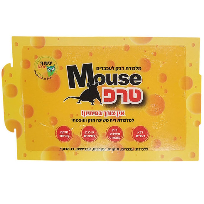 תמונה של מאוס טרפ - מלכודת דבק לעכברים עם ריח משיכה - קרטון 72 יחידות owl market