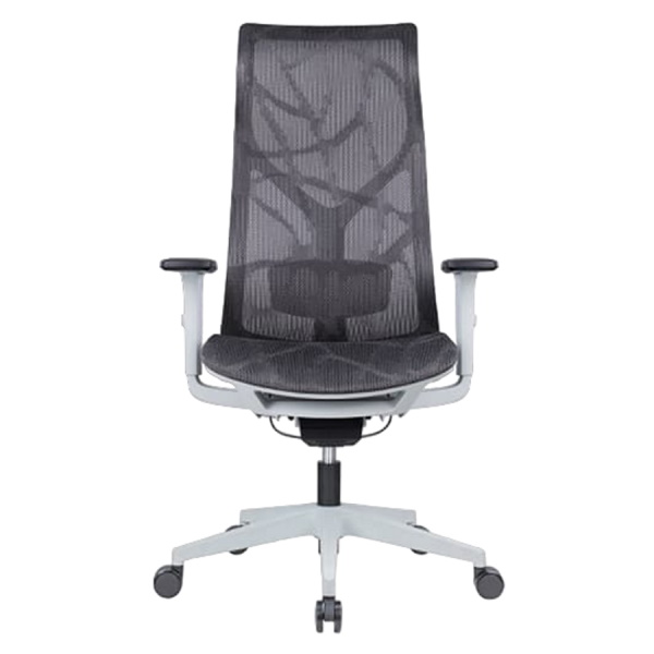 כסא ארגונומי אורטופדי SitPlus &lrm;Grey