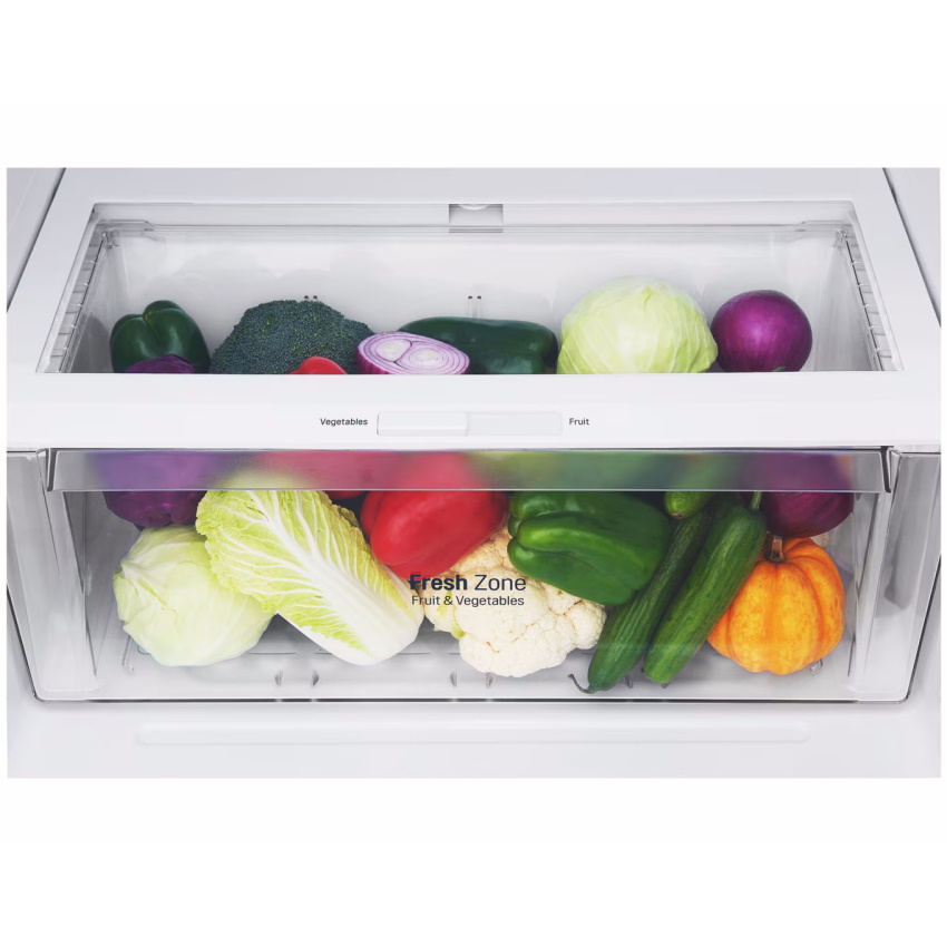 מקרר מקפיא עליון - 438 ליטר lg