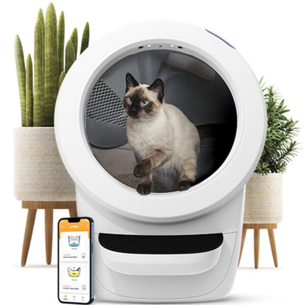 שירותים רובוטים לחתולים litter robot