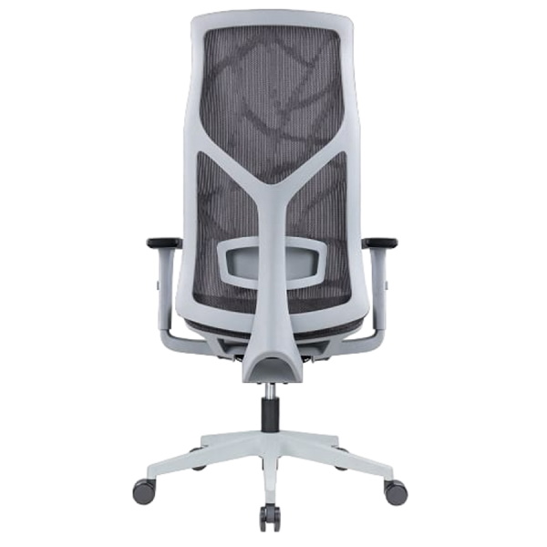 תמונה של כסא ארגונומי אורטופדי sitplus
