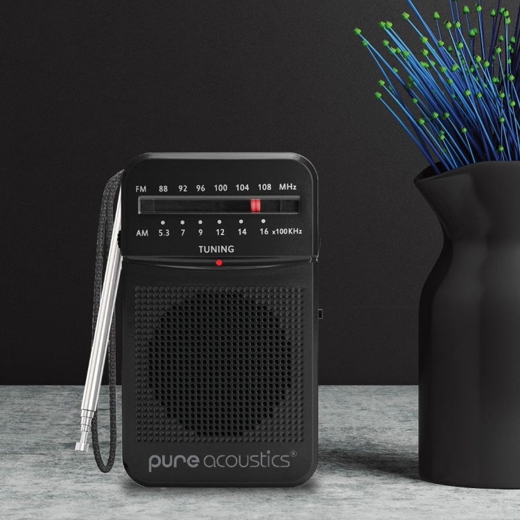 rd-20-black pure acoustics