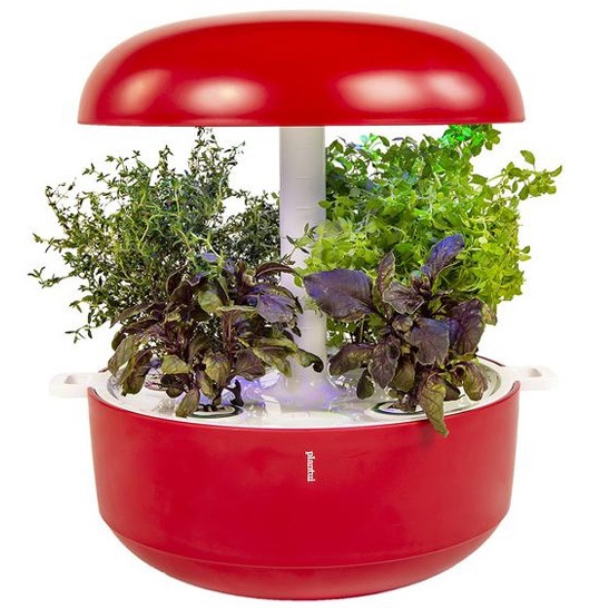 סרטון - גינה חכמה לגידול צמחי מאכל plantui  פלנטואי  plantui 2 red