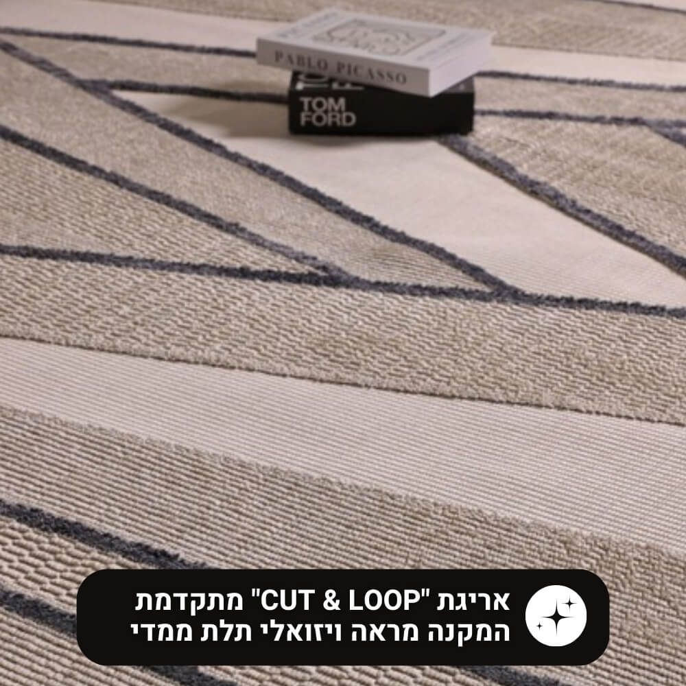 קאלי 03 אפור כהה 190x140 ס&quotמ carmel floor