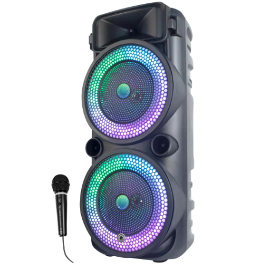 בידורית ניידת 1600W כולל מיקרופון Pure Acoustics &lrm;WOMB-185