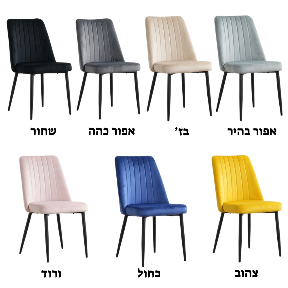 דור 1 אור 6 leonardo