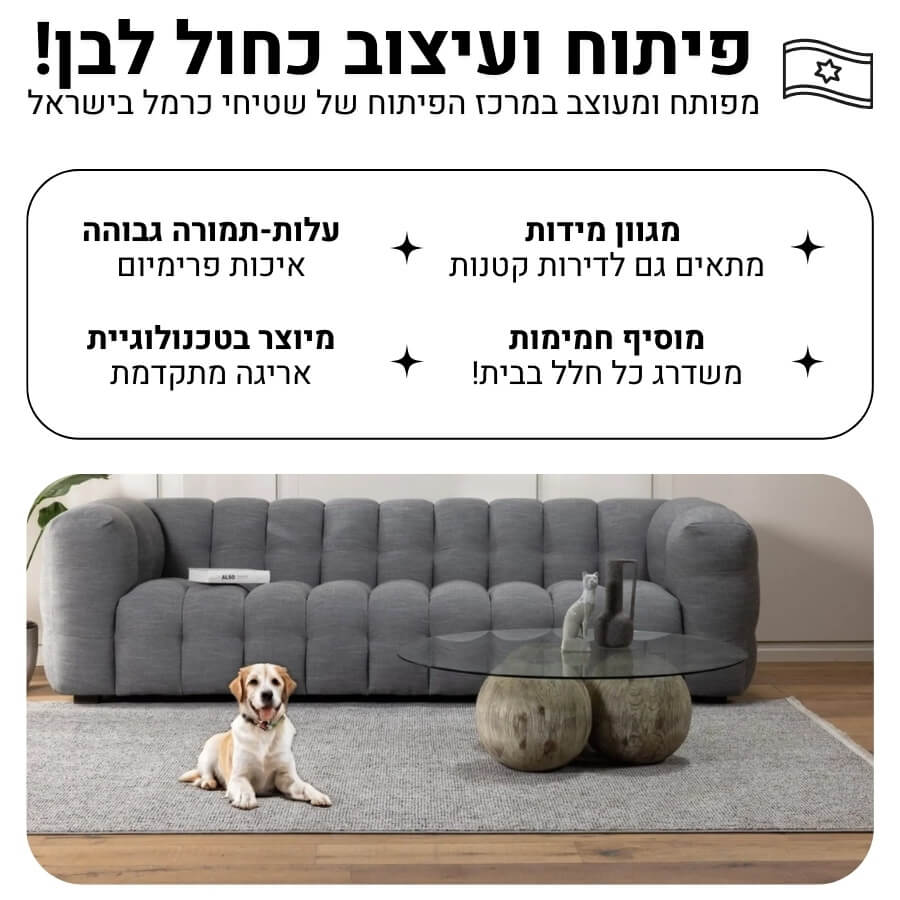 סקאי 02 אפור כהה 170x120 ס&quotמ carmel floor