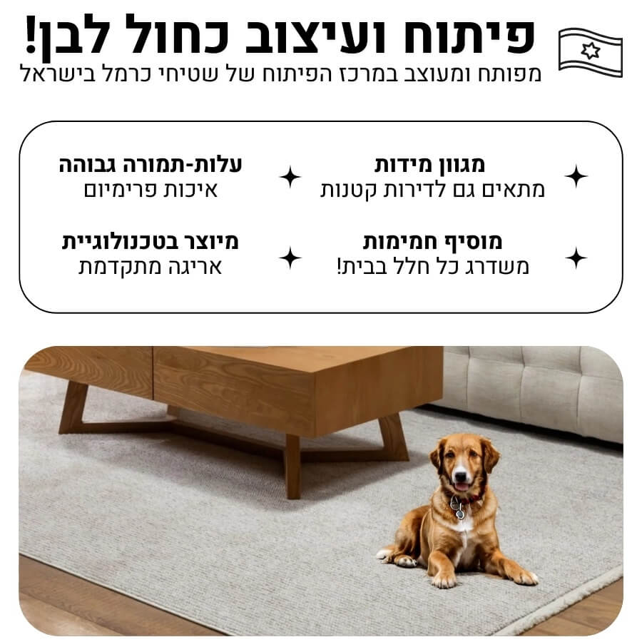 סקאי 03 בז 300x80 ס&quotמ carmel floor