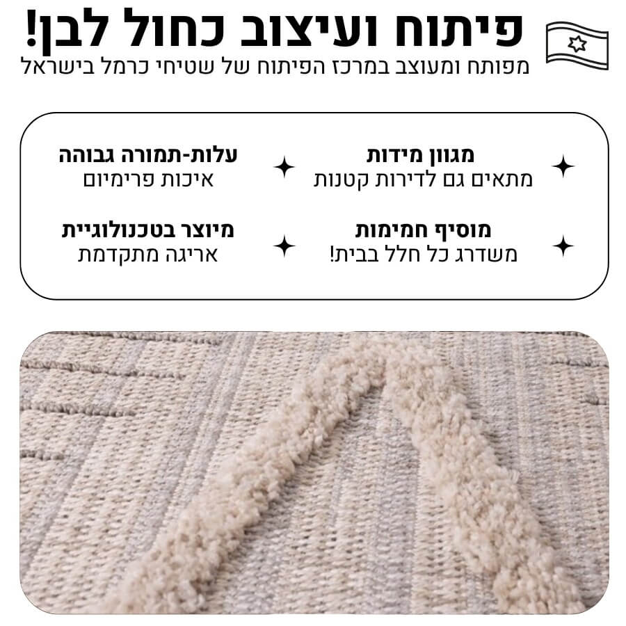 תמונה של שטיח מודרני כולל טקסטורת לולאות וגימור פרנזים carmel floor