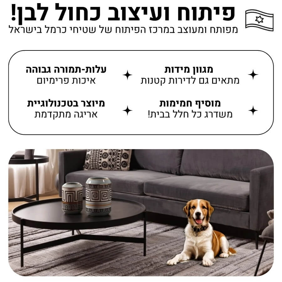 תמונה של שטיח מודרני כולל טקסטורת לולאות וגימור פרנזים carmel floor