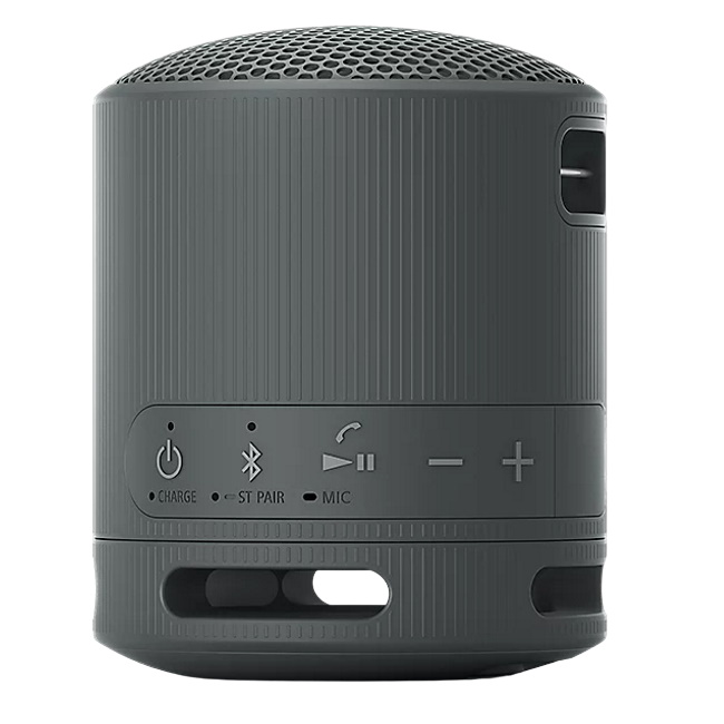 תמונה של רמקול בלוטות' נייד sony