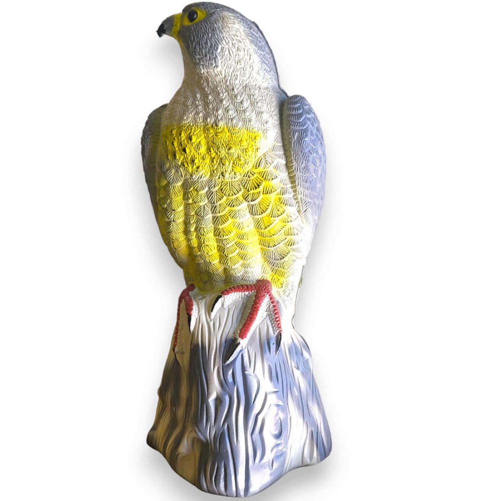 דחליל נץ owl market