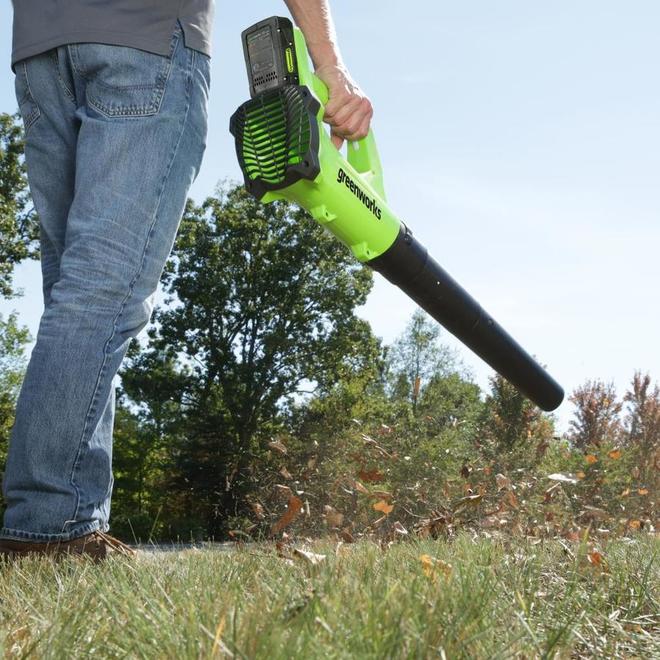 מפוח עלים 24v כולל סוללה 2.0ah ומטען greenworks