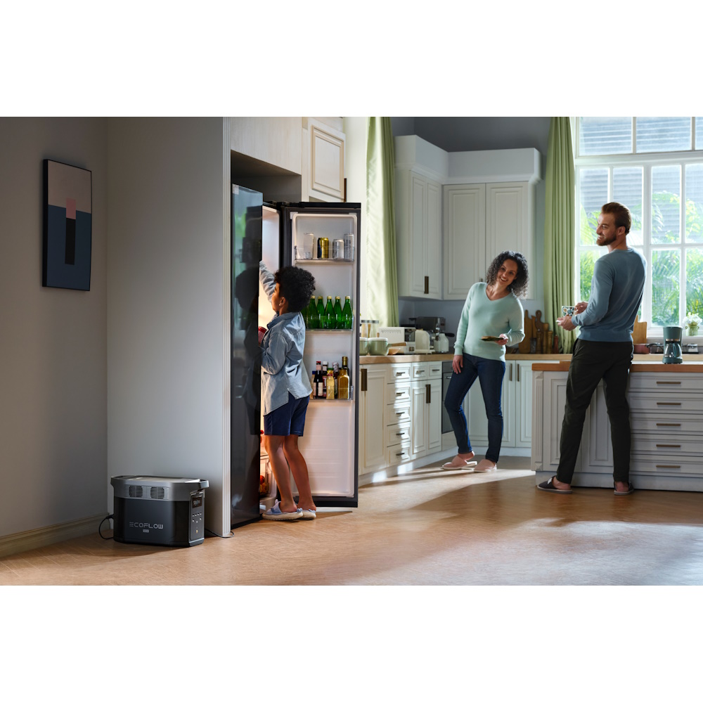 סט תחנת כוח ניידת 2.4kw 4kwh תא הרחבה וזוג פאנלים סולארים ecoflow 540w