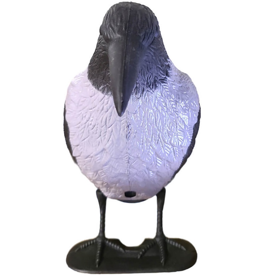 דחליל עורב שחור/אפור owl market