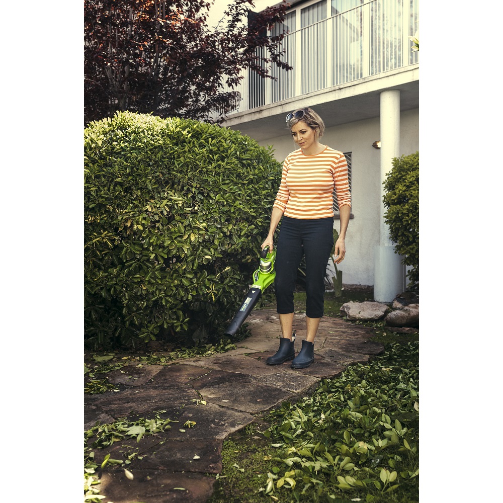 מפוח/שואב גורס רב תכליתי 24v – גוף בלבד greenworks