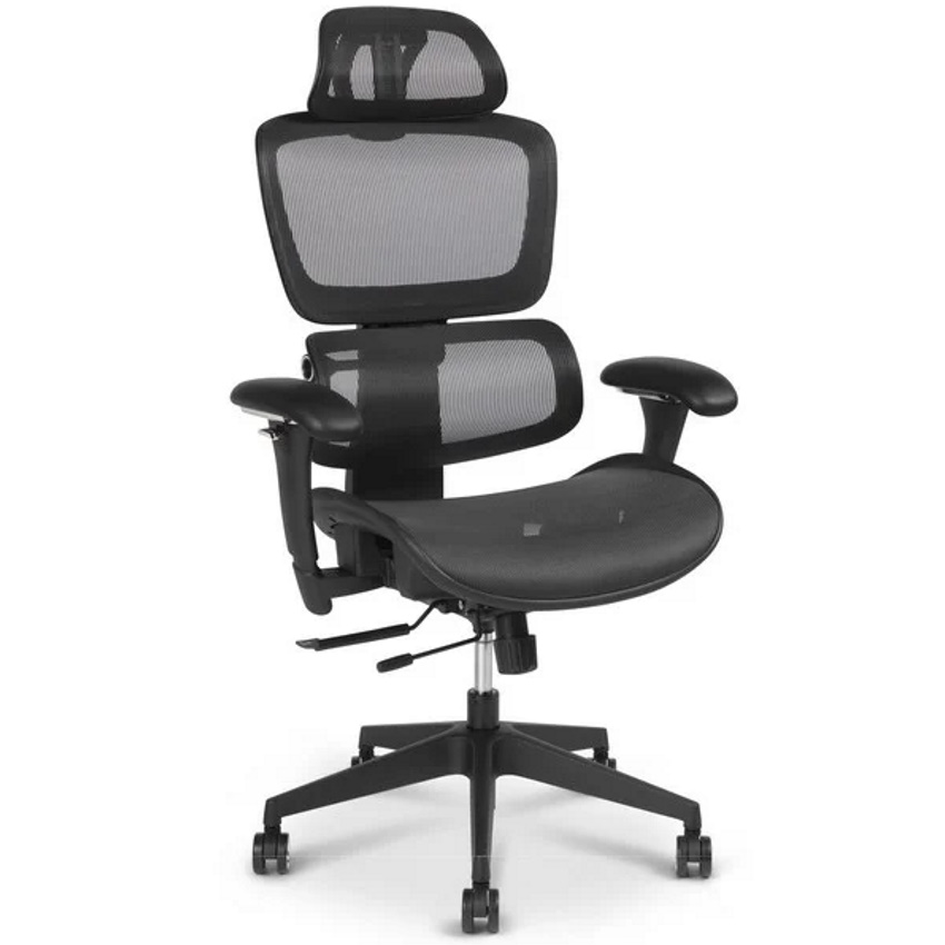 סרטון - כסא מנהלים מעוצב 2sit  טו סיט  דאבל