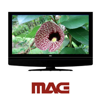 טלויזית mag lcd 32