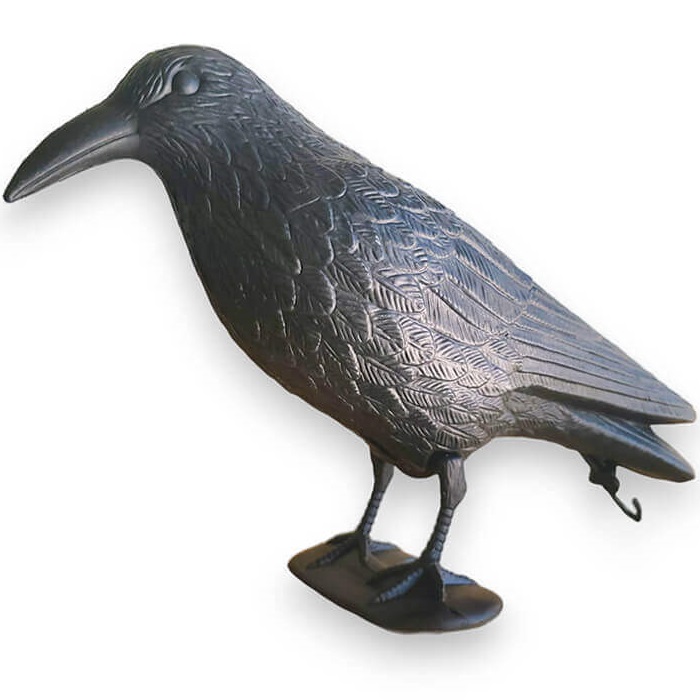 תמונה של דחליל דמוי עורב להרחקת יונים owl market