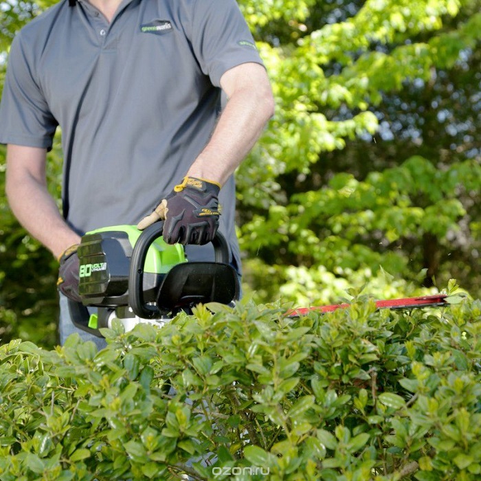 99553 - גוף greenworks
