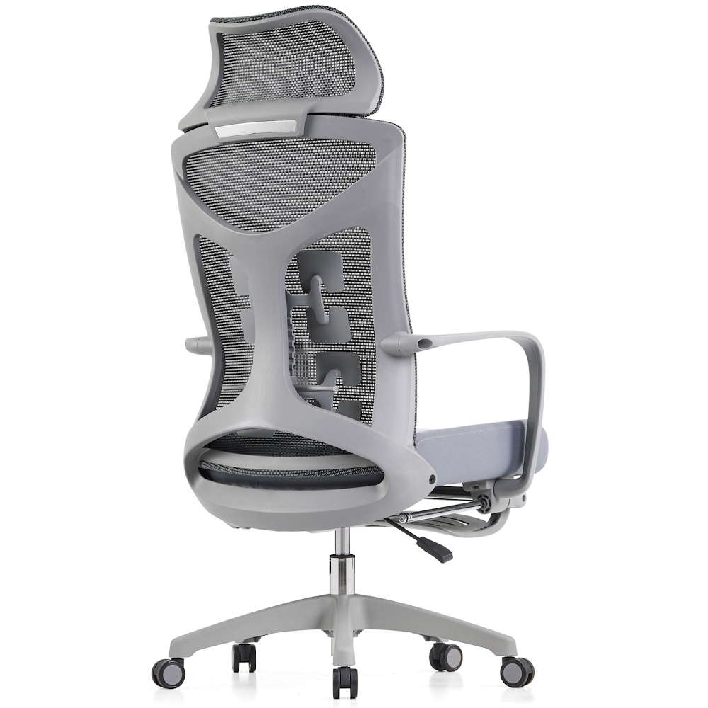 תמונה של כסא מנהלים ארגונומי ergonix