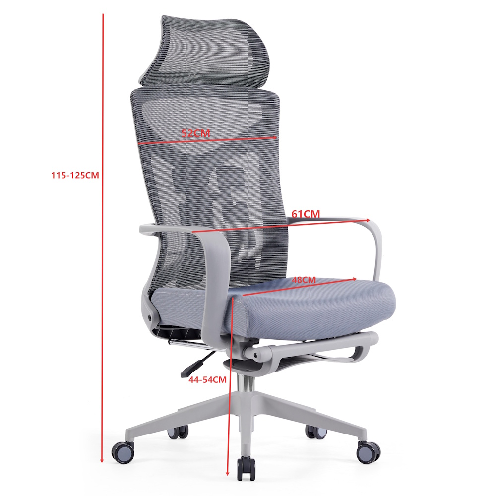 כסא מנהלים ארגונומי ergonix