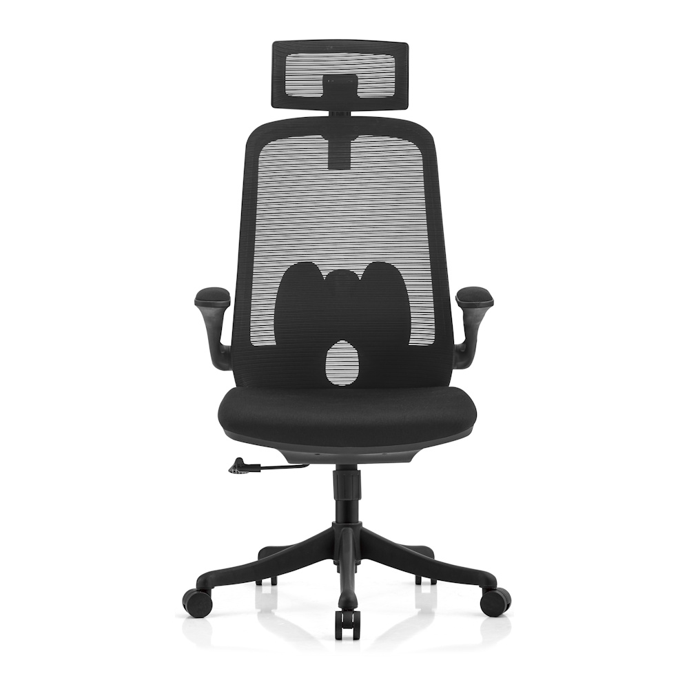 כסא משרדי ארגונומי Ergonix &lrm;Balance Pro - שחור