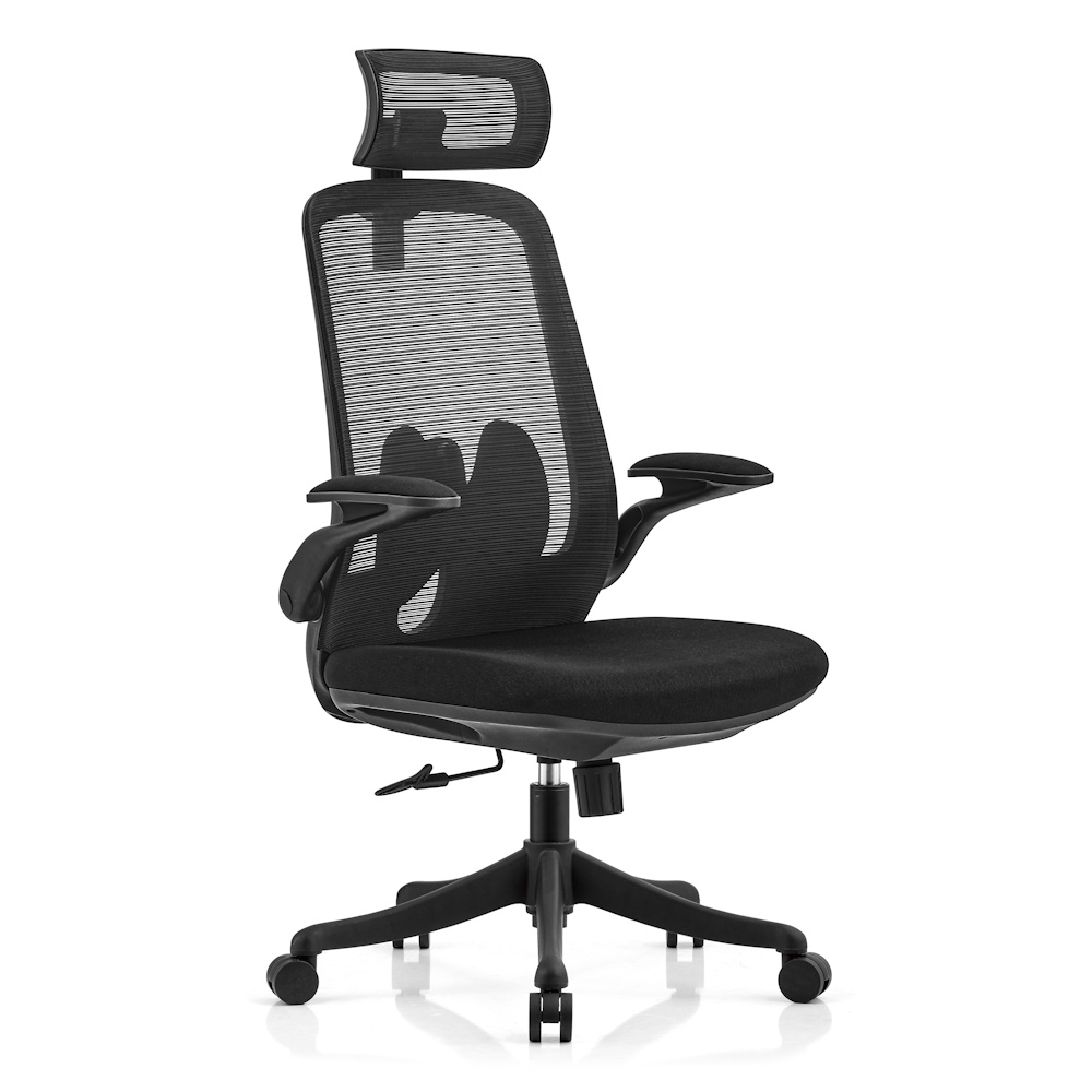 balance pro - שחור ergonix