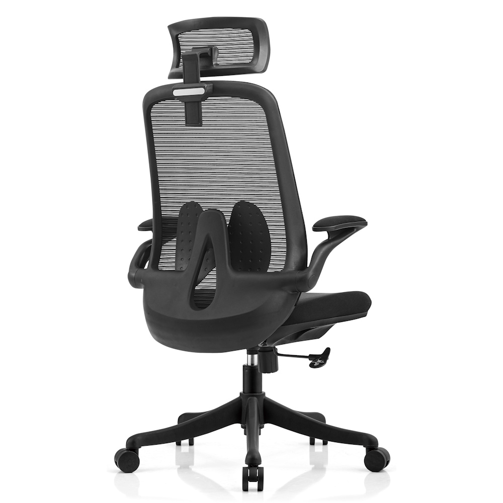 כסא משרדי ארגונומי ergonix