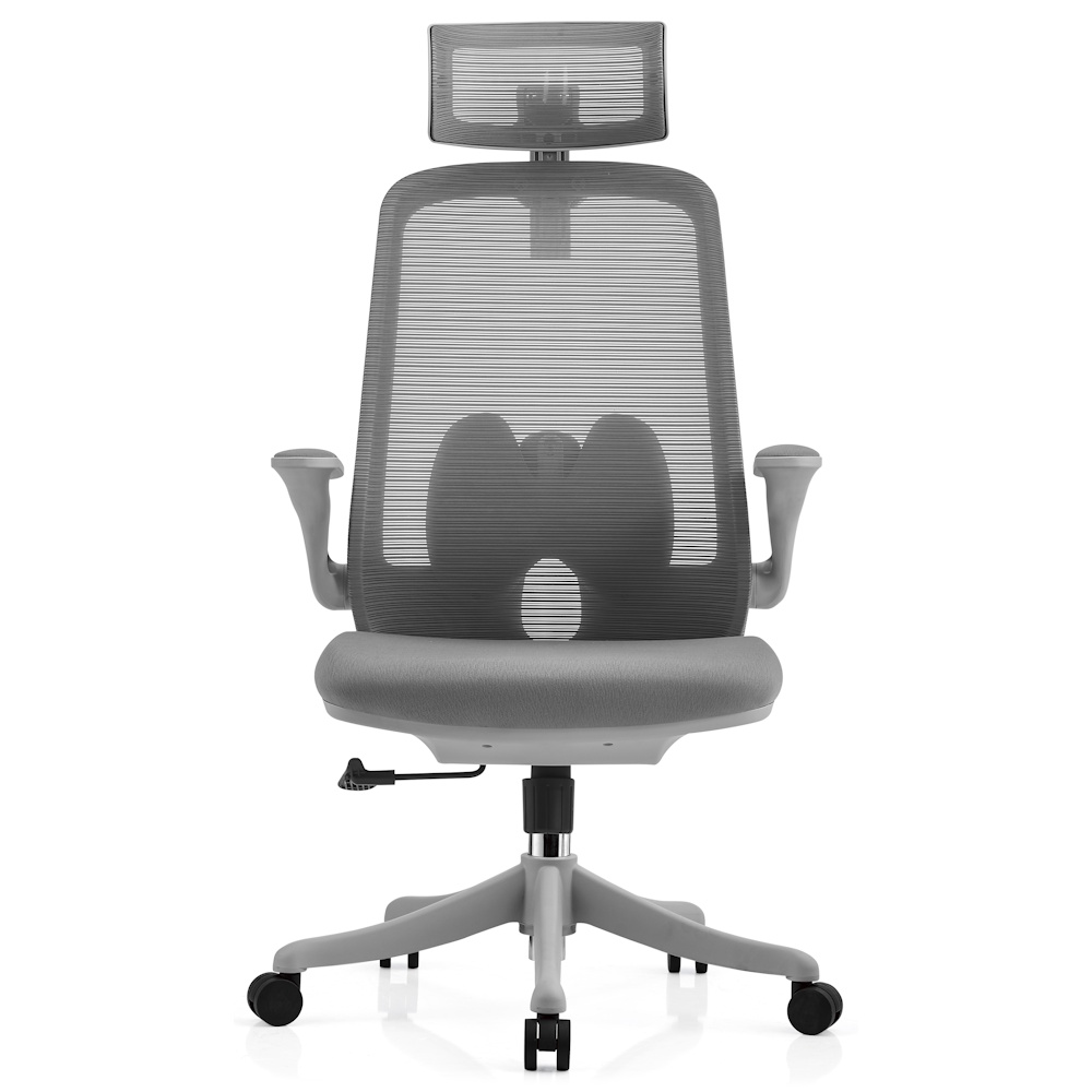 כסא משרדי ארגונומי Ergonix &lrm;Balance Pro - אפור