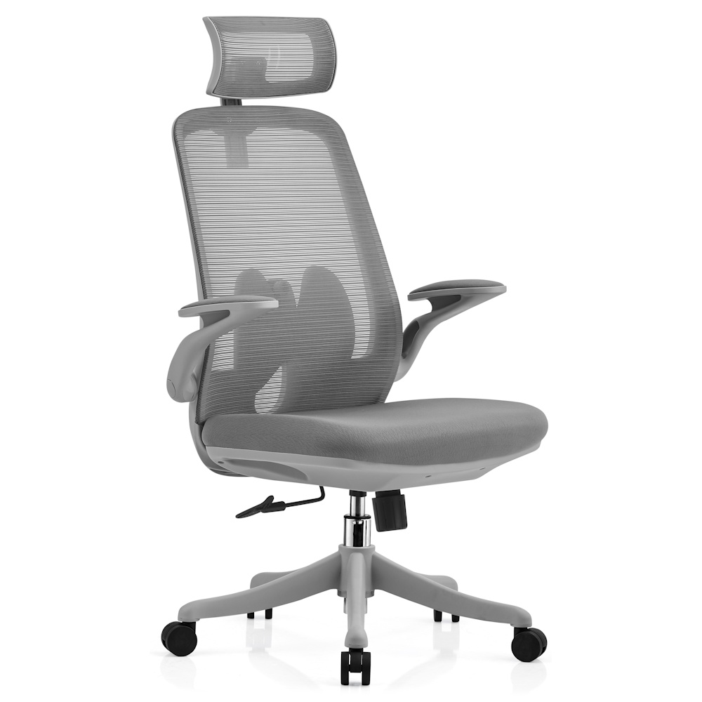 balance pro - אפור ergonix